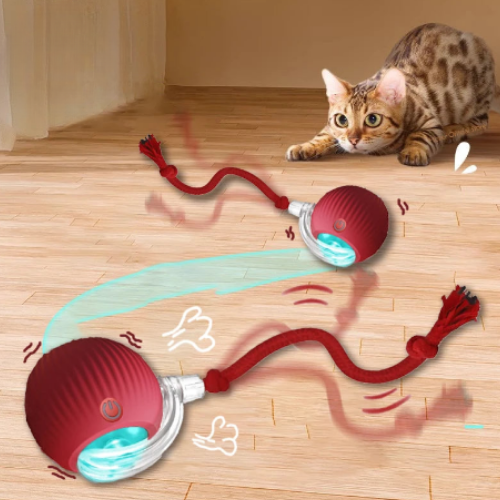 SMARTCHASE — Balle d'aventure interactive pour chien et chat