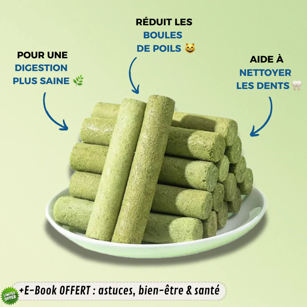 Les bouchées Vertes de pistache