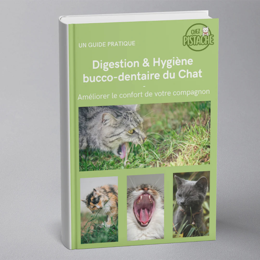 E-book – Digestion & Hygiène bucco-dentaire du Chat