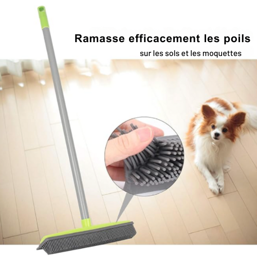 PETSWIPE – Balai professionnel pour éliminer efficacement les poils d'animaux