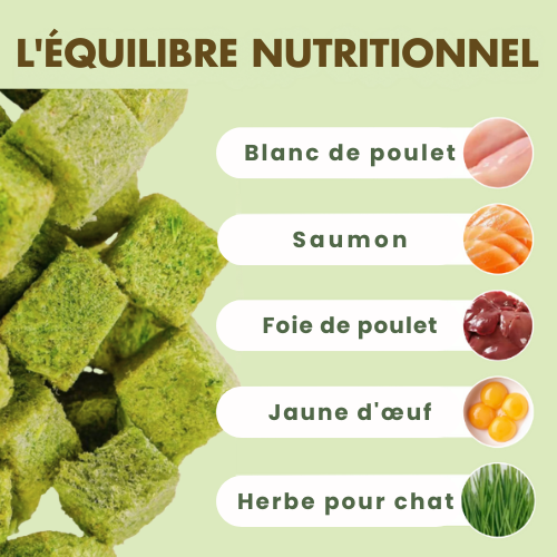 GREENBITE CUBES™ – Les bouchées bien-être pour un chat en pleine forme (60g)