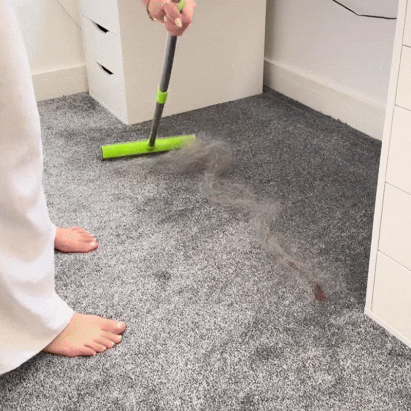 PETSWIPE – Balai professionnel pour éliminer efficacement les poils d'animaux