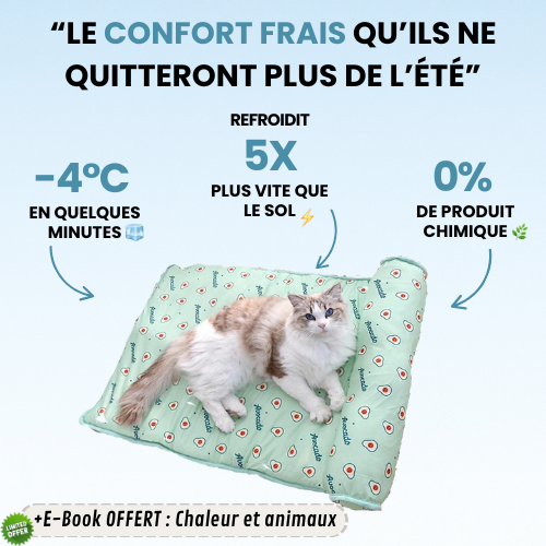 FRESHPET — Tapis rafraîchissant pour chats et chiens