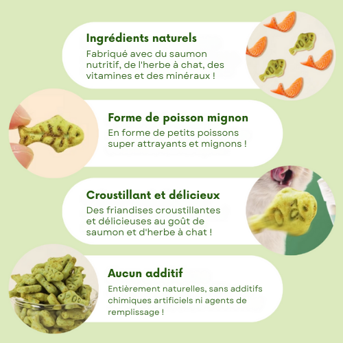 FISHBITE – Le biscuit savoureux qui fait du bien à votre chat (80g)