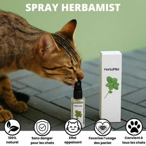 HERBAMIST — Spray apaisant aux herbes à chats