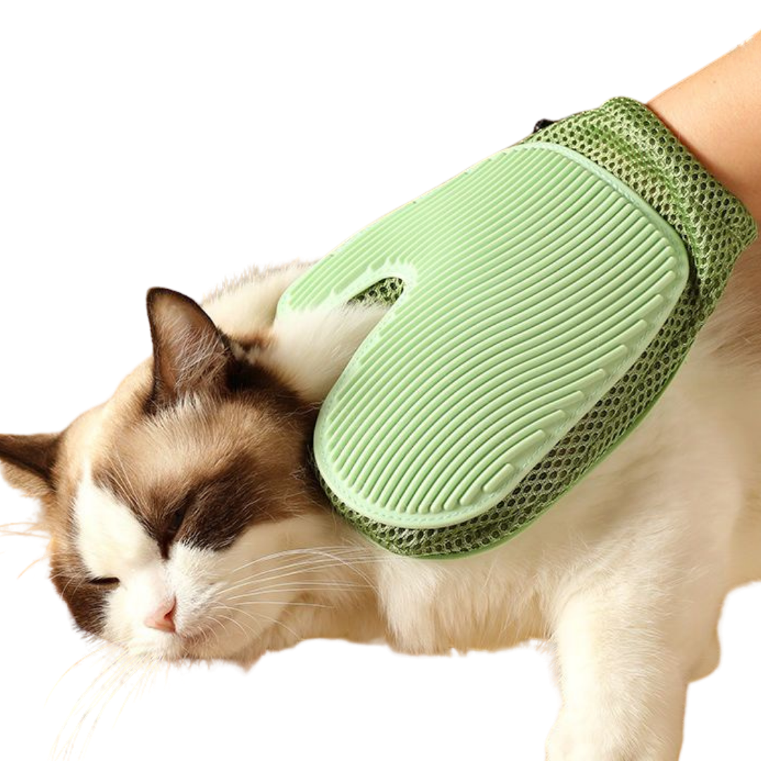 SOFTPAW – Gant de toilettage doux et efficace.