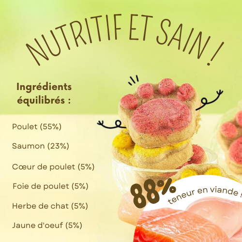 CROC'PAW – Friandises croquantes et saines pour un chat en pleine forme (10 pièces)