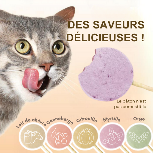 LOLICAT – Friandises bien-être en forme de sucette pour chats (10 pièces)