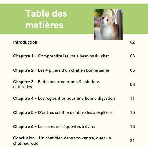 E-book – Digestion & Hygiène bucco-dentaire du Chat